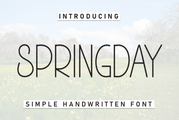 Springday: A Warm Display Font for Editorial Clarity